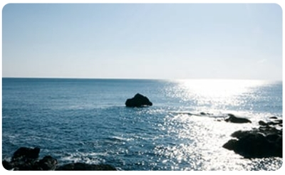 テレビで話題沸騰!ごはんがふっくらもちもちに炊ける【天海のにがり】 情報サイト